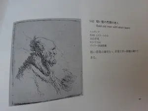 Rembrandt van Rijn - Rembrandt's Etchings- boek= bijzondere uitgave in het Japans kopen? Bied vanaf 75!