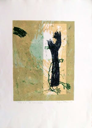 Daphne Ritzen - Kleurenzeefdruk DE METAMORFOSE Handgesigneerd. kopen? Bied vanaf 35!