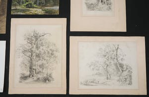 Niet of onleesbaar gesigneerd - Diverse (houtskool)tekeningen en een aquarel van Bomen kopen? Bied vanaf 1!