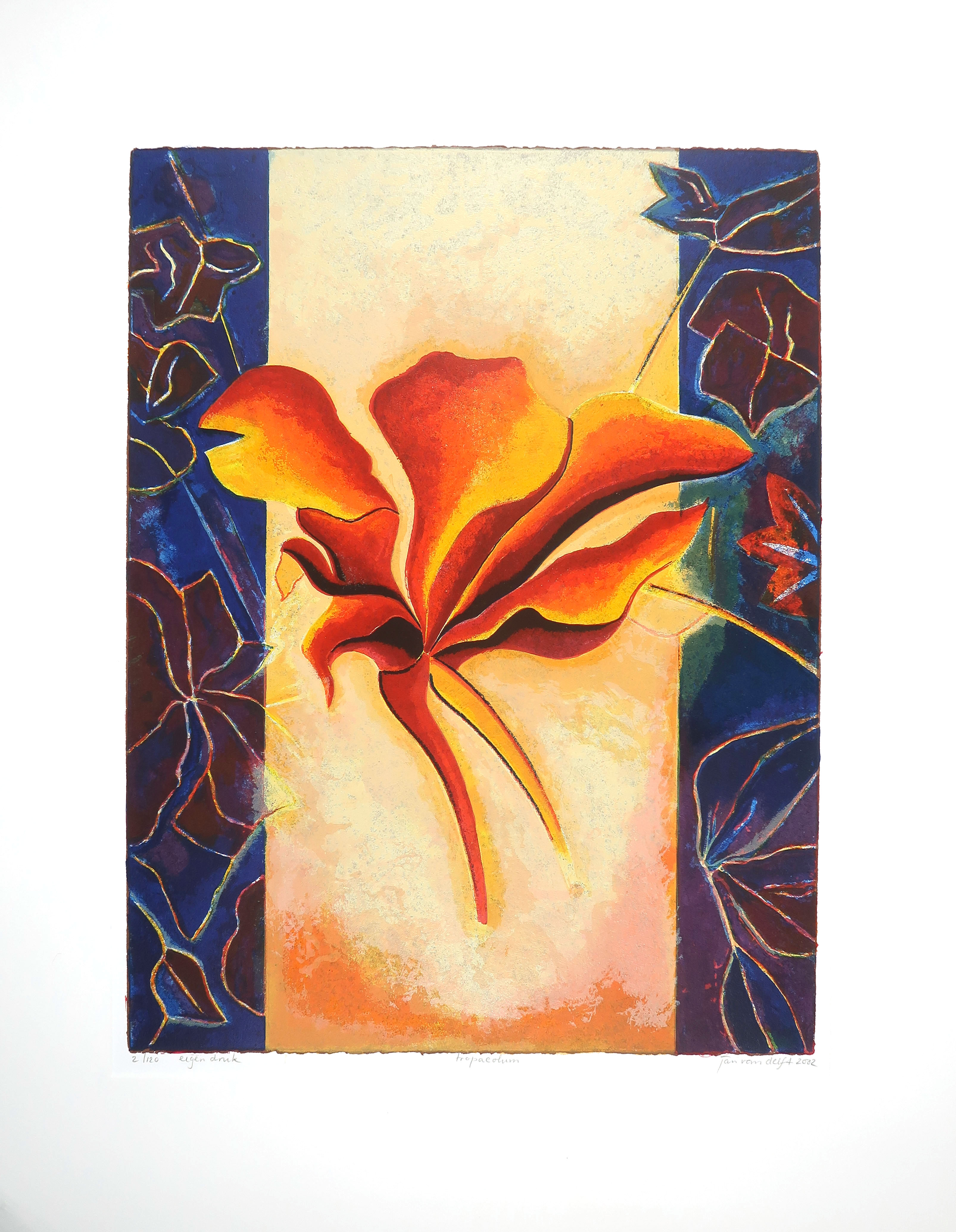 Jan van Delft - Zeefdruk, Fropacolum kopen? Bied vanaf 1!