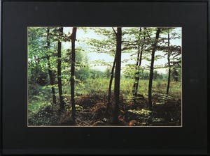 Paul Huf - Foto, Zonder titel - Ingelijst kopen? Bied vanaf 1!