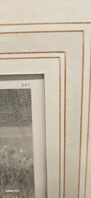 Celestin Nanteuil - Nanteuil lebouf dit nanteuil Ils y laissent leurs plumes kopen? Bied vanaf 100!