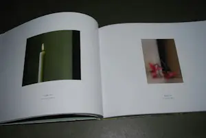 Gerhard Richter - pictures/series 2014 Fondation Beyeler (linnen hardcover) kopen? Bied vanaf 90!