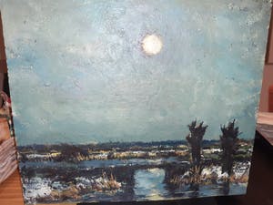 Toon Koster - landschap kopen? Bied vanaf 50!