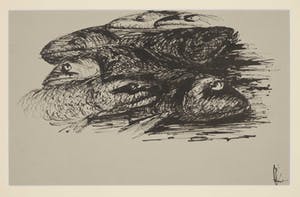 Melle Oldeboerrigter - Inkttekening op geschept papier, Vissen kopen? Bied vanaf 100!