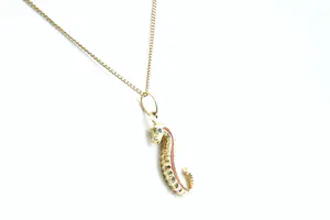 30- Fijn 14 krt  gouden gourmette collier met 18 krt gouden hanger "zeepaardje" kopen? Bied vanaf 170!