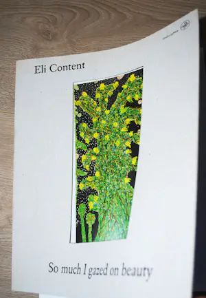Eli Content - zeldzame affiche uit 1998 & tentoonstellingsgids 2019 kopen? Bied vanaf 125!