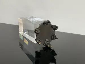 Corry Ammerlaan - Beeld: om de tafel kopen? Bied vanaf 38!