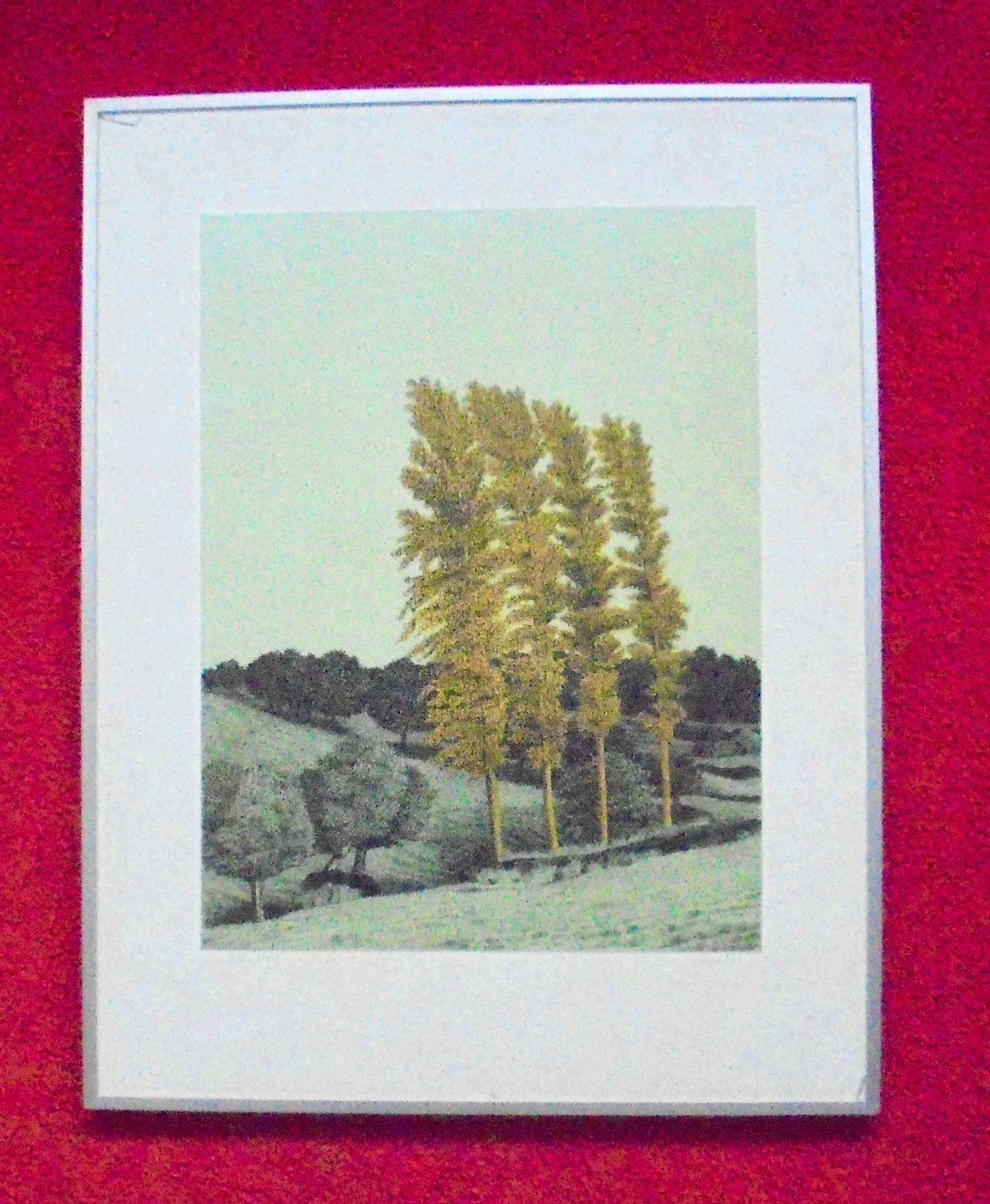 Sees Vlag - Geuldal kopen? Bied vanaf 75!