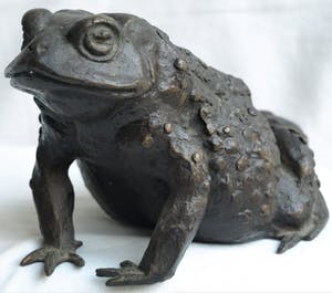 Niet of onleesbaar gesigneerd - Bronzen beeld , Kikker / Pad kopen? Bied vanaf 10!