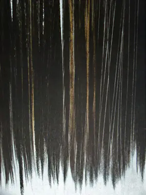 Hans Hartung - Pastel P. 1960-76 - Offsetlithografie gesigneerd - 1961 kopen? Bied vanaf 120!