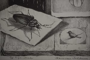 Hans van Dokkum - Compositie met oog, Kever en vogels kopen? Bied vanaf 40!