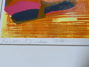 Xandra Donders - E & A 2e deel kopen? Bied vanaf 45!