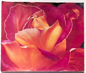 Yvonne Poelstra-Holzhaus - Bloemen kopen? Bied vanaf 25!