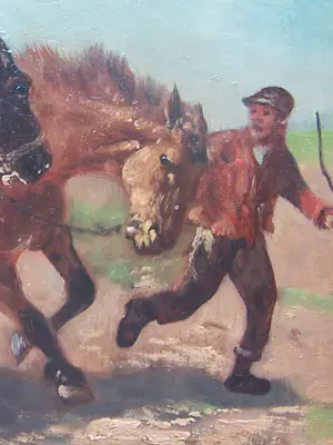 Henry Schouten - Boer met paarden kopen? Bied vanaf 350!