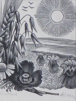 Dirk van Gelder - Zomer - Gravure kopen? Bied vanaf 1!