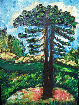 Rita Eliana dos Santos Neves - Brazilianse boom kopen? Bied vanaf 49!