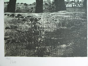 Nicolaas Wijnberg - Litho , Bomen – bijlage tijdschrift Petit No 2 - 1979 kopen? Bied vanaf 35!
