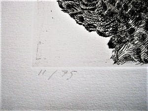Han van Hagen - Ambachtelijk Graficus - Kleine oplage Ets - Korhoender - potloodgesigneerd kopen? Bied vanaf 29!
