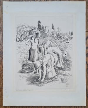 Kuno Brinks - Lavendelpluksters kopen? Bied vanaf 150!