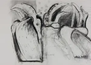 Jaap Ploos van Amstel - Houtskool op papier, Drie neushoornvogels - Ingelijst kopen? Bied vanaf 100!