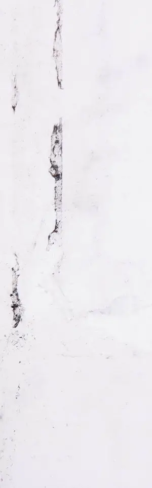 Wouter Stips - Zeefdruk, Home, Cat, Angel kopen? Bied vanaf 1!