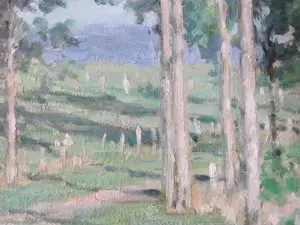 Anneke Boot - Zonnig heidelandschap met bomen kopen? Bied vanaf 180!