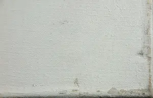 Mark Polee - Acryl op doek, Een soort dier (Groot) kopen? Bied vanaf 1!