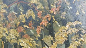 Jan Kelderman - Bosgezicht bij Garderen kopen? Bied vanaf 45!