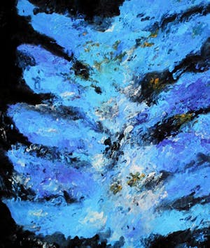 Armando - "BLatt" - giclée - 2014 - oplage 30 - zelden aangeboden kopen? Bied vanaf 225!