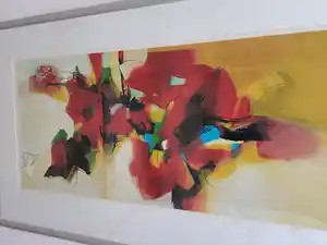 Pieter Vermeulen - NIEUWPRIJS €800(!!) verkauft für € 50!