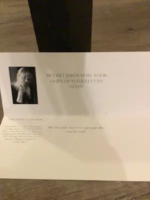 Corry Ammerlaan - “ Met het juiste doel voor ogen “ kopen? Bied vanaf 129!