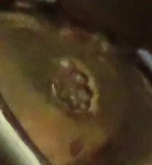 Antieke 14 karaat gouden oorbellen met facet geslepen granaat stenen kaufen? Bieten Sie von 395!