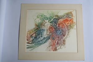 Jan Michielsen - kleurenets - oplage 1/1 - gesigneerd kopen? Bied vanaf 1!