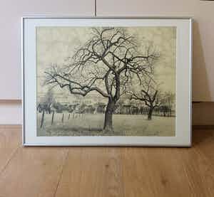 Toine Corstjens - Hoogstam verkocht voor € 195!