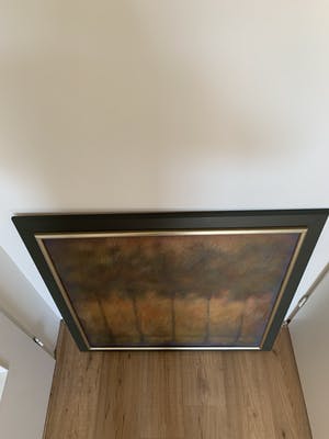 Hans Dolieslager - Bomenrij kopen? Bied vanaf 80!