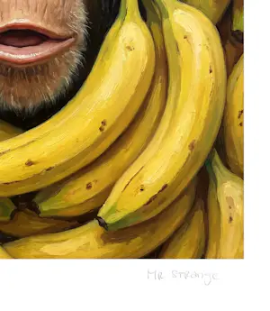 Mr Strange - Overvallen kopen? Bied vanaf 85!