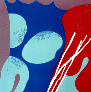 Guido de Waart - linosnede - 1969 kopen? Bied vanaf 15!