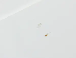 Mark Verdoes - Giclée, India 2 - Ingelijst kopen? Bied vanaf 1!