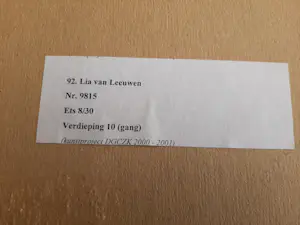 Lia van Leeuwen - Kleuren ets, nr 9815 kopen? Bied vanaf 35!