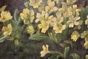 Ad Blok van der Velden - Gele duinbloempjes Texel kopen? Bied vanaf 250!