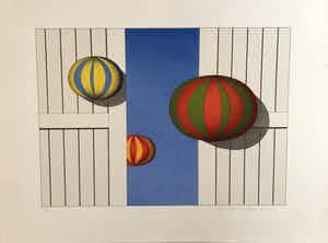 Marinus Fuit - Ballonnen verkocht voor € 60!