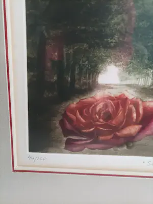 G.H. Rothe - SOLITUDE kaufen? Bieten Sie von 95!