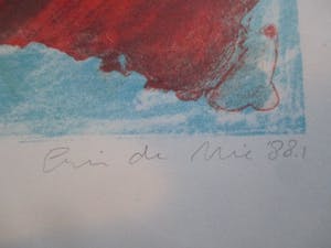 Eric de Nie - Ingelijste Litho uit kleine oplage kopen? Bied vanaf 70!