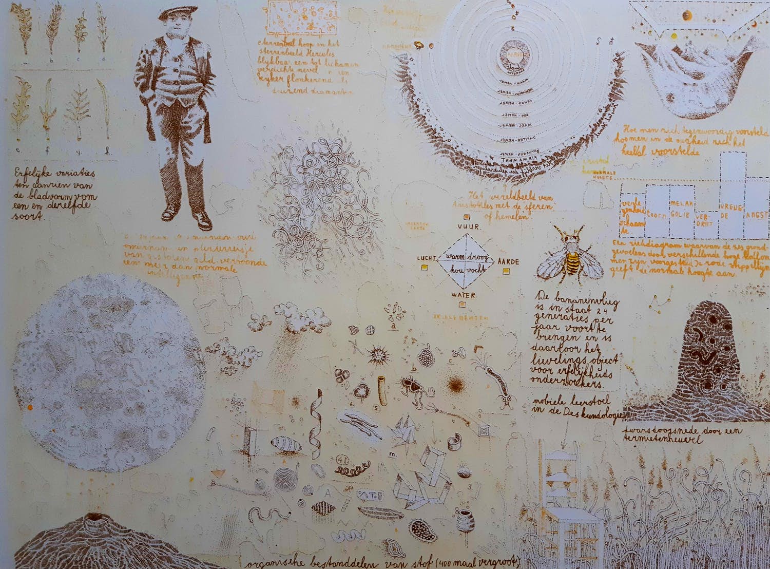 Theo Kley - Biologische landbouw verkocht voor € 35!