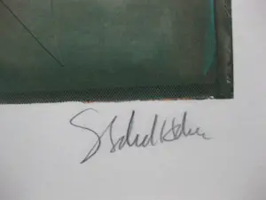 Starlie Sokol-Hohne - Zonder titel kopen? Bied vanaf 200!