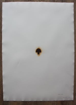 Jan van Munster - 6 pyrogravures in portfoliomap kopen? Bied vanaf 895!