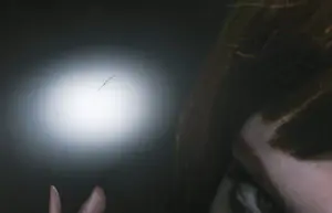 Jenny Boot - C-Print op dibond, Bat Wife - Ingelijst (Zeer groot) kopen? Bied vanaf 1000!