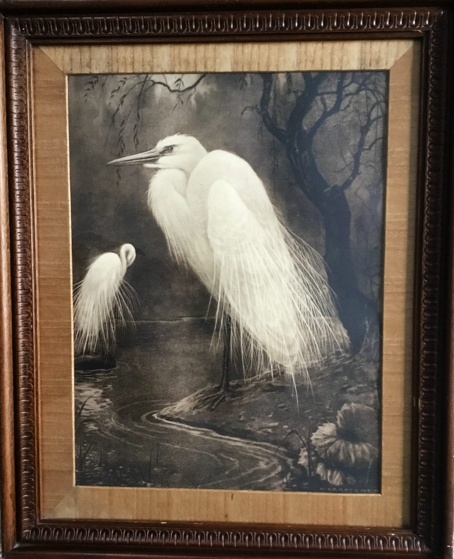 Henri Verstijnen - “Twee Zilverreigers” verkocht voor € 50!