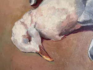 Dirk Trap - Doode meeuw kopen? Bied vanaf 225!